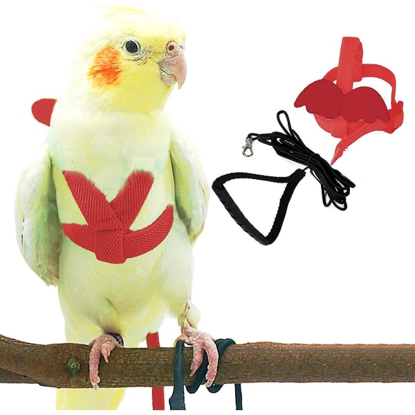 Adjustable Bird Harness With 80 Inch Leash, Outdoor Flying Kit Training Rope For Birds Parrots Cockatiel Red XS