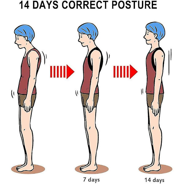 Posture Corrector, Straightener For Shoulder Strap Back Support,xl
