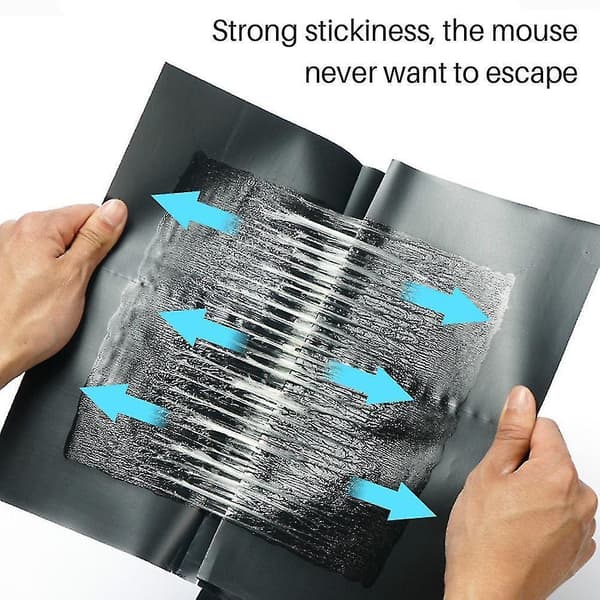 5/10/20pcs Mousetrap, Mouse Glue Mousetrap, Mousetrap 10pcs