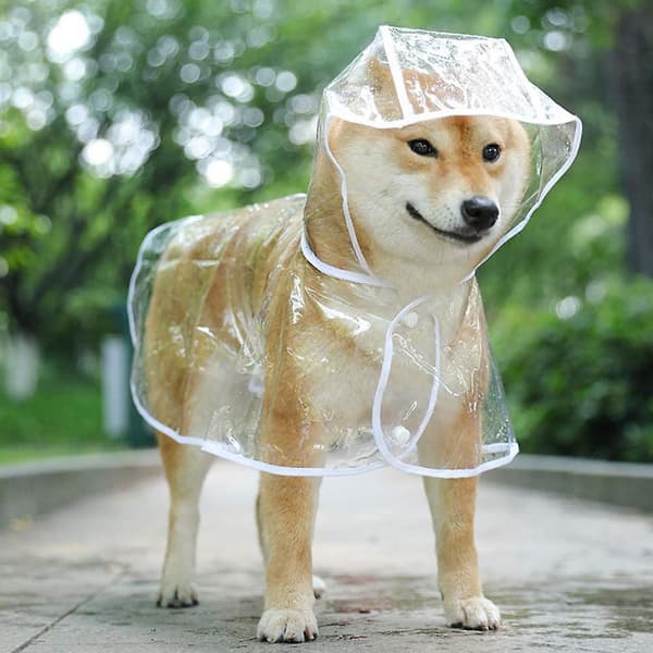 Hunde Regnfrakke Med Hætte Poncho Transparent Regnfrakke Til Små Hunde WHITE M