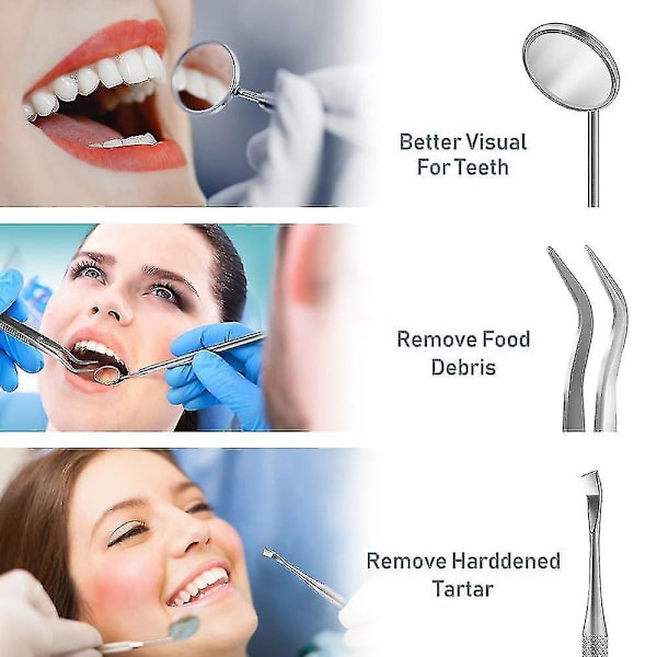 9 Pack Dental Pick Tools Tooth Picks Stainless Steel Dental Teeth