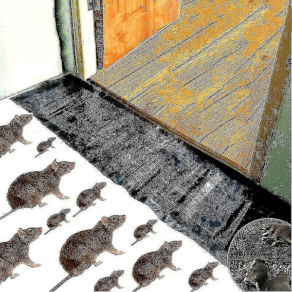 5/10/20 stk. Musefælde, Muse Lim Musefælde, Musefælde 10pcs