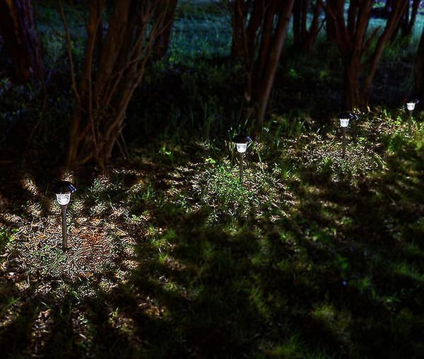 Solcelle Græslampe Udendørs Solcelle Græslampe Vandafvisende Rustfrit Stål Glas Led