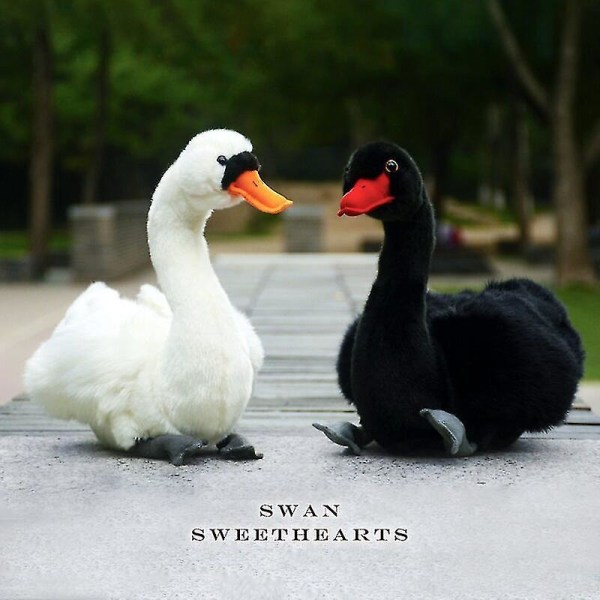 28cm Realistic Swan Plush Toy Black And White Color Boy And Girl Squishmallow Cute Animal Plush Doll Black Swan