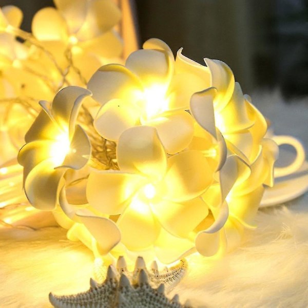Vintage Frangipani Flower Led Fairy Light String Battery Home Party Wedding