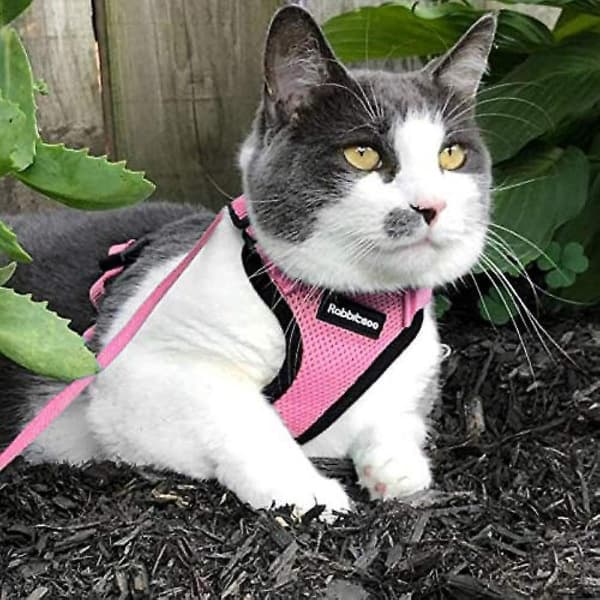 Rabbitgoo Cat Harness And Leash For Walking, Escape Proof Soft Adjustable Vest Harnesses For Cats, Easy Control Pink X Small