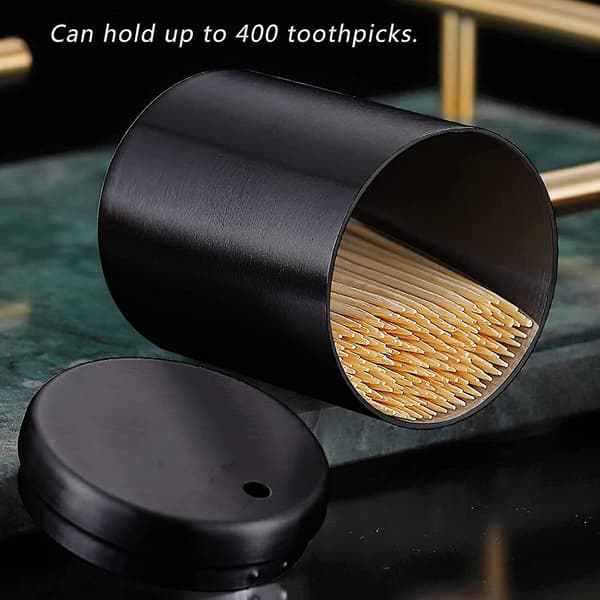Stainless Steel Toothpick Holder Dispenser, Thickening Toothpicks Container Silver silver