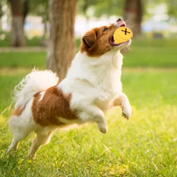 Dog Treat Toy Ball IQ Träning Tandrengöring Gummi Hundläckage Matboll för hundar Valpar Husdjur