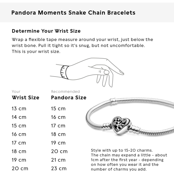Pandora Unik Elegant Sterling Silver Armband -17Cm 17 cm