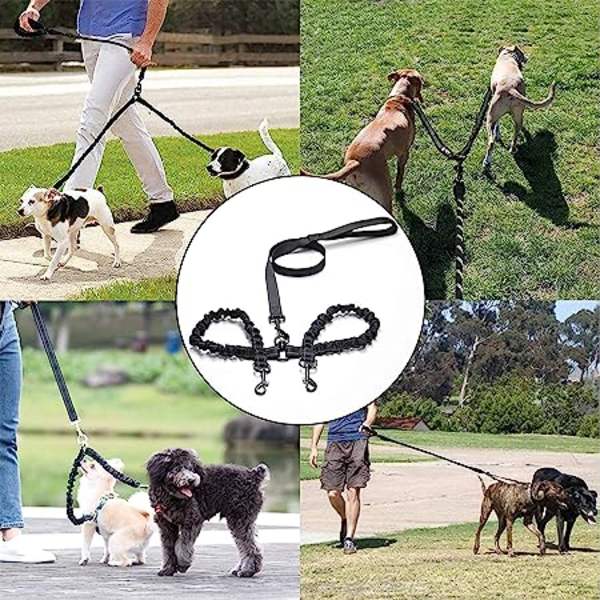 2 2024 dog leash