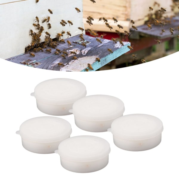 【Lixiang Store】 5 STK maursyredispenser Enkel å bruke Høyeffektiv profesjonell maursyrefordamper for birøkt