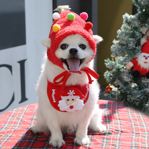 Katt Teddy Pomeranian Höst/vinter juldräkt L