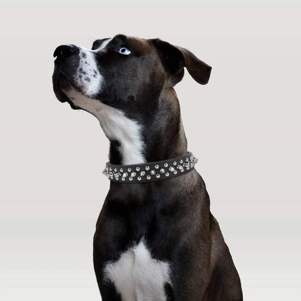 Hundhalsband i läder med spikar och nitar Gothic Punk justerbart halsband för små till medelstora hundar Svart, S