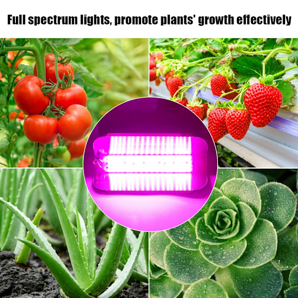 50W Full Spectrum COB LED Växtlampa för inomhusväxter