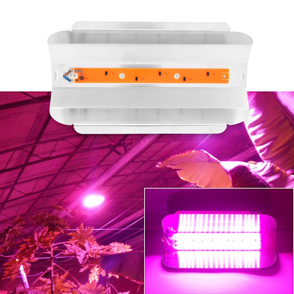 50W Fuld Spektrum COB LED Vækstlys til Indendørs Planter