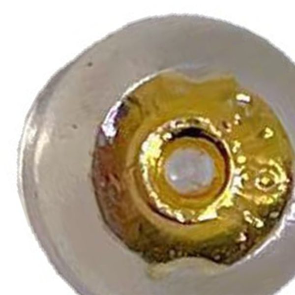 Örhängesbakstycke i guld: En komplett guide Gold