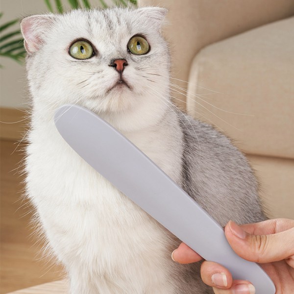 Katt tungkam Grå