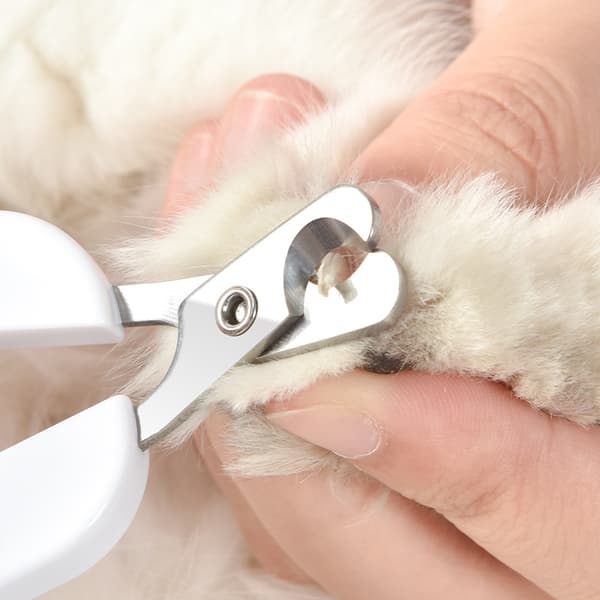 Nye Kloklippere til Kæledyr - Katte og Hunde
