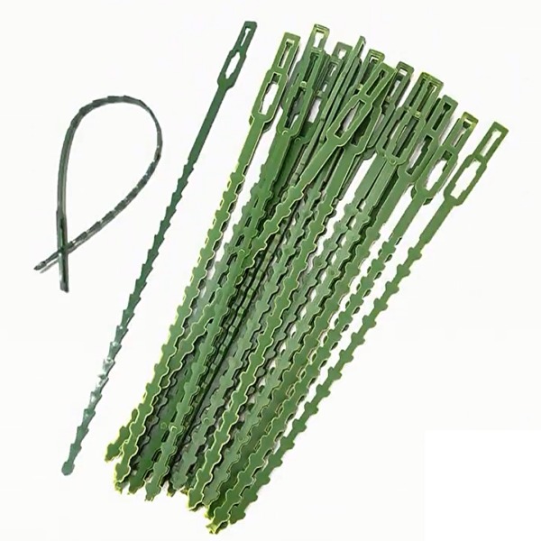 200 Pack Gardening Fishbone Design Bundle Tie för klätterväxter Grön