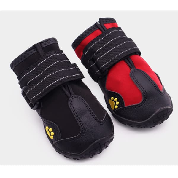 Husdjursskor - Röda 4-pack G