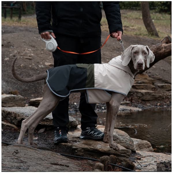 Forårs vandtæt og vindtæt regnfrakke til store hunde med farveblokdesign og polyester S S