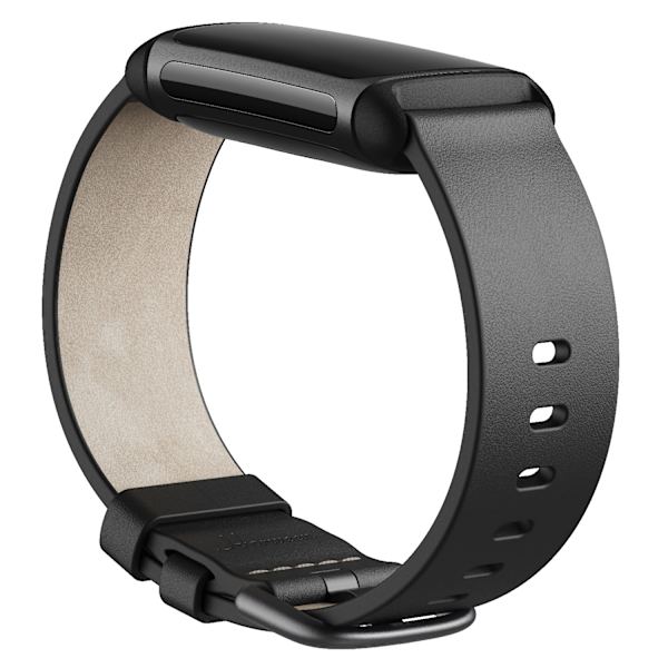 Charge 5/6 Leather Band Black (L)