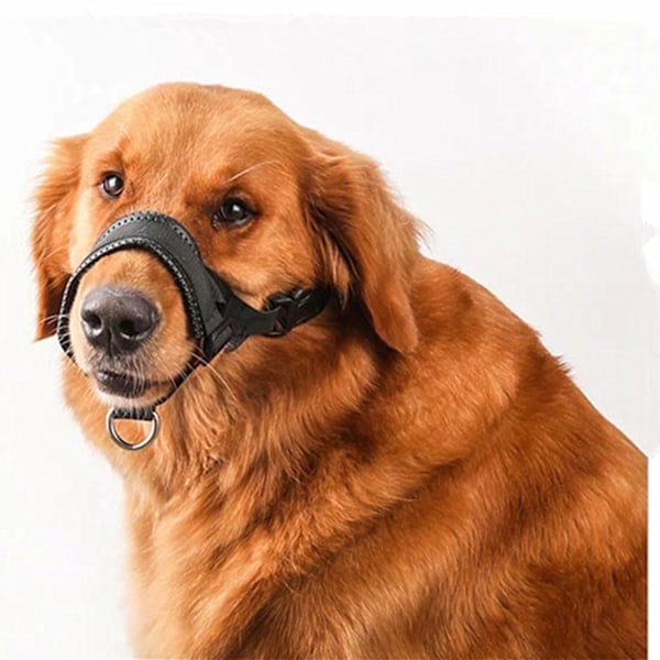 Næseparti til hunde L L