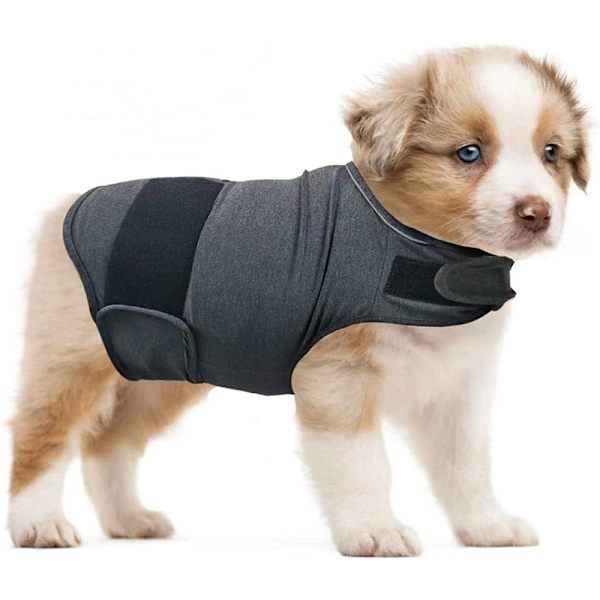 Beroligende vest til hunde, anti-angst vest til hunde XL
