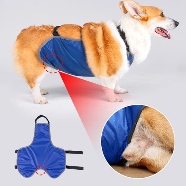 Justerbart vattentätt hundskydd för Corgi - Anti-smuts magskydd M M