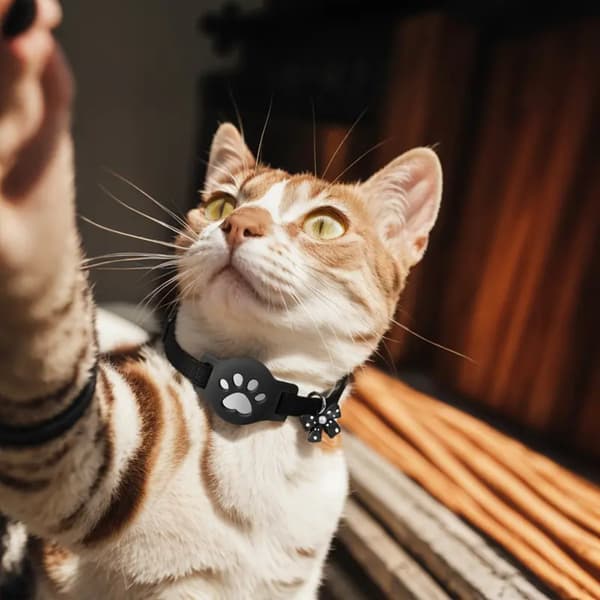 Adjustable Reflective Cat Collar with Silicone Holder kompatibelt med Apple AirTag - Waterproof Polyester Pet Tracker Strap Black Black