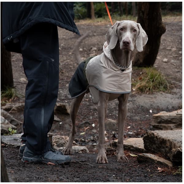 Forårs vandtæt og vindtæt regnfrakke til store hunde med farveblokdesign og polyester S S