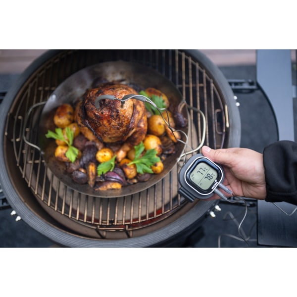 Mustang Digital thermometer