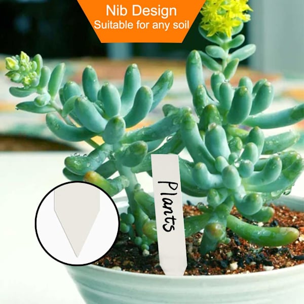 Växtetiketter / Plantskyltar för Enkel Växtidentifiering - 100 pack Vit 10x2 cm