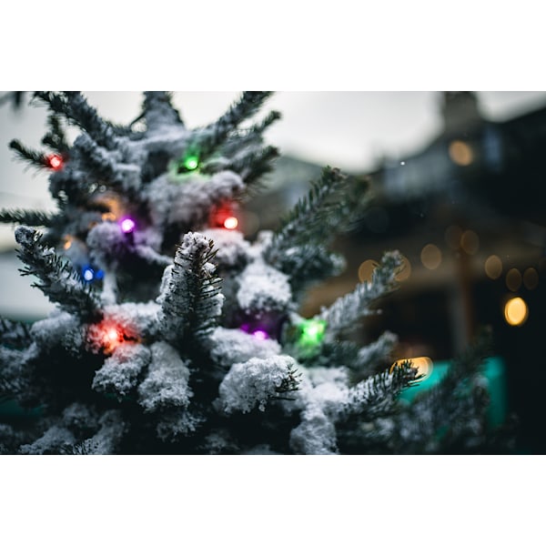SMART HOME WiFi Tree light, 270L, 10 strings, 2m