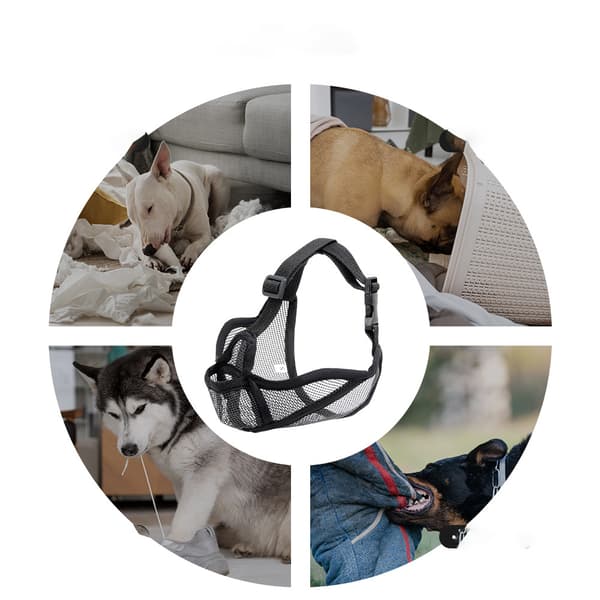 Hundehvalp til kortnæsede hunde L L
