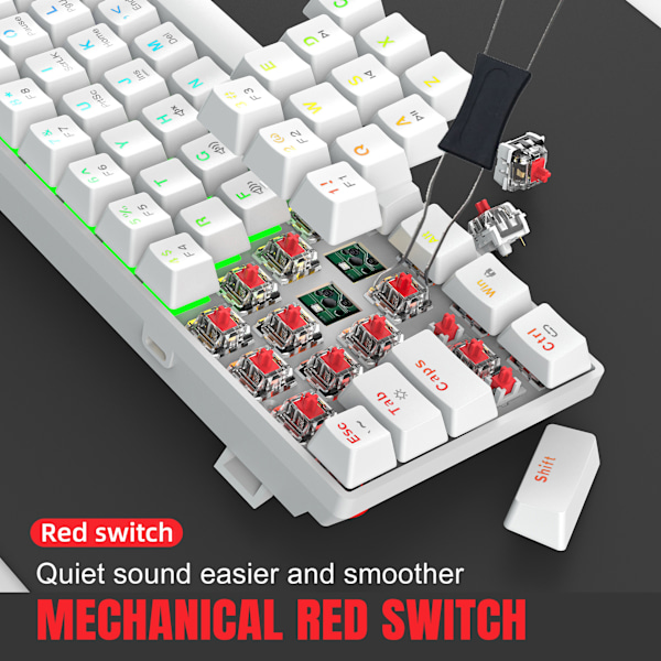 Mekaniskt tangentbord med 61 tangenter - Vitt RGB-bakgrundsbelyst tangentbord som kan bytas under hot