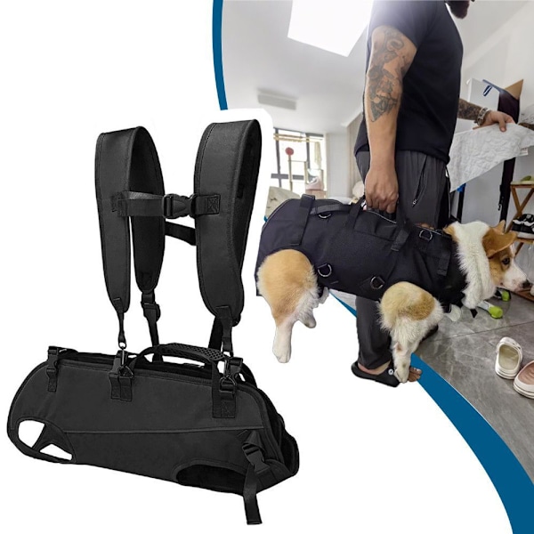 Pet Carrier Ryggsäck för små hundar och katter S