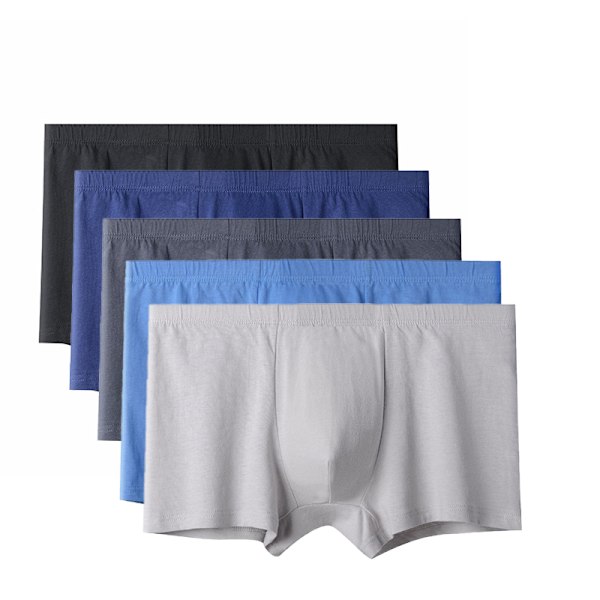Boxershorts för män i 5-pack - Flerfärgad L