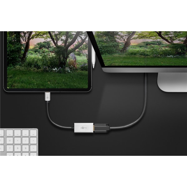USB-C™-adapter till HDMI™