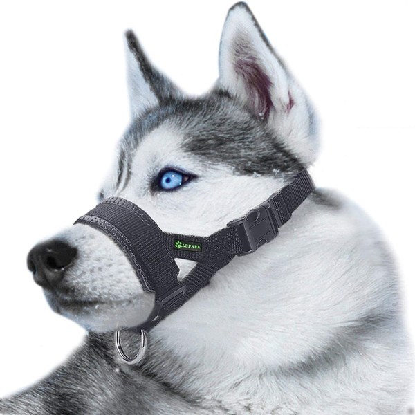 Munkorg för Hundar M