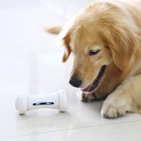 Wickedbone dog bone interaktivt hundelegetøj