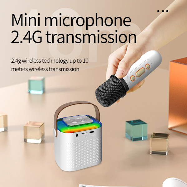 Dual Microphone Home KTV Bluetooth-högtalarsystem