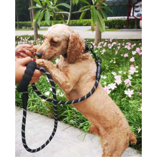 Reflekterande hundhalsband i nylon, justerbart djurhalsband L