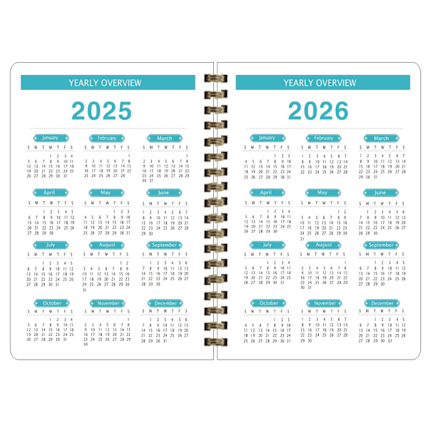 2025 Daily Planner Tyylikäs ja järjestetty Vaaleanpunainen