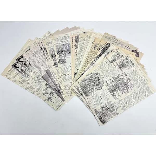 Vintage Scrapbook papper model 1