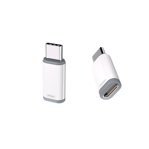 Lightning (hun) til USB-C (han) adapter