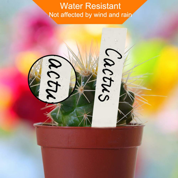Växtetiketter / Plantskyltar för Enkel Växtidentifiering - 100 pack Vit 10x2 cm