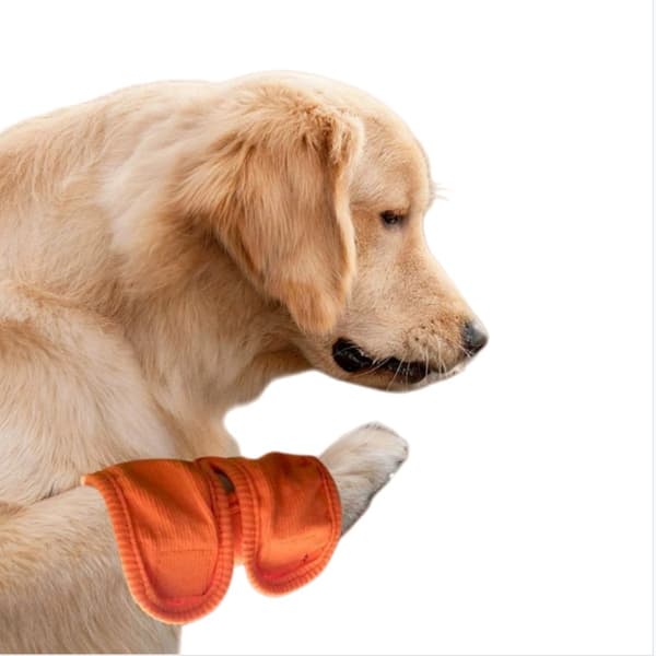 Självvärmande Varmt Knäskydd för Hund - 2-pack, Stöd efter Operation & Ledskydd S S
