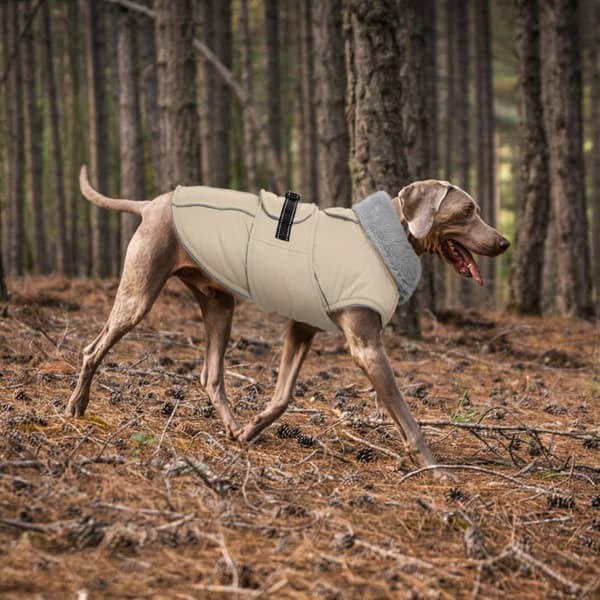 Funktionell Varm Hund Vinterjacka - Isolerad och Vindtät Husdjursjacka L L