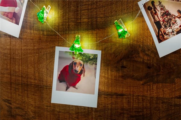 10 LED-valosarja valokuvaklipsille "Joulukuusi"